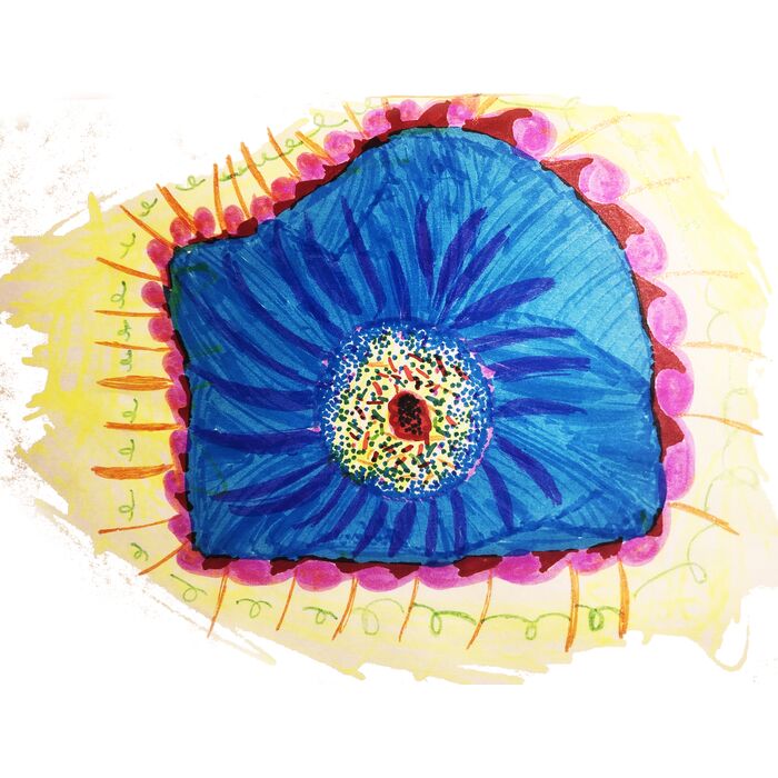 Ameoba Eye Thumbnail